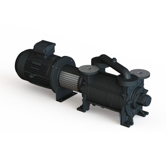 DOLPHIN LB 0063–0184 A Liquid Ring Vacuum Pump 