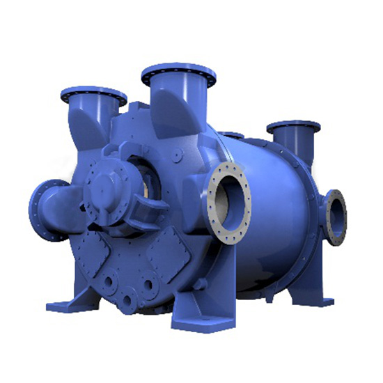 2BE5 Liquid ring vacuum pump 