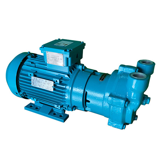 2BV2Liquid ring vacuum pump 